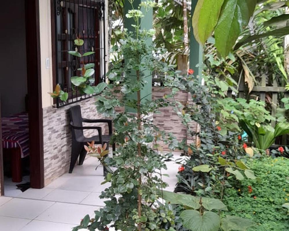 Wikungo Hotel Puerto Nariño المظهر الخارجي الصورة