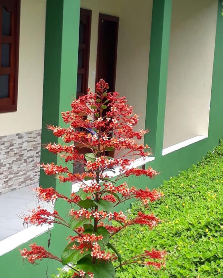 Wikungo Hotel Puerto Nariño المظهر الخارجي الصورة