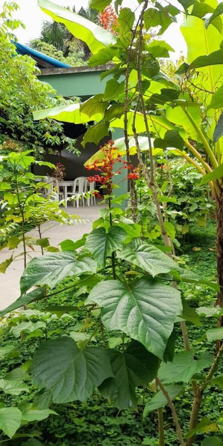 Wikungo Hotel Puerto Nariño المظهر الخارجي الصورة