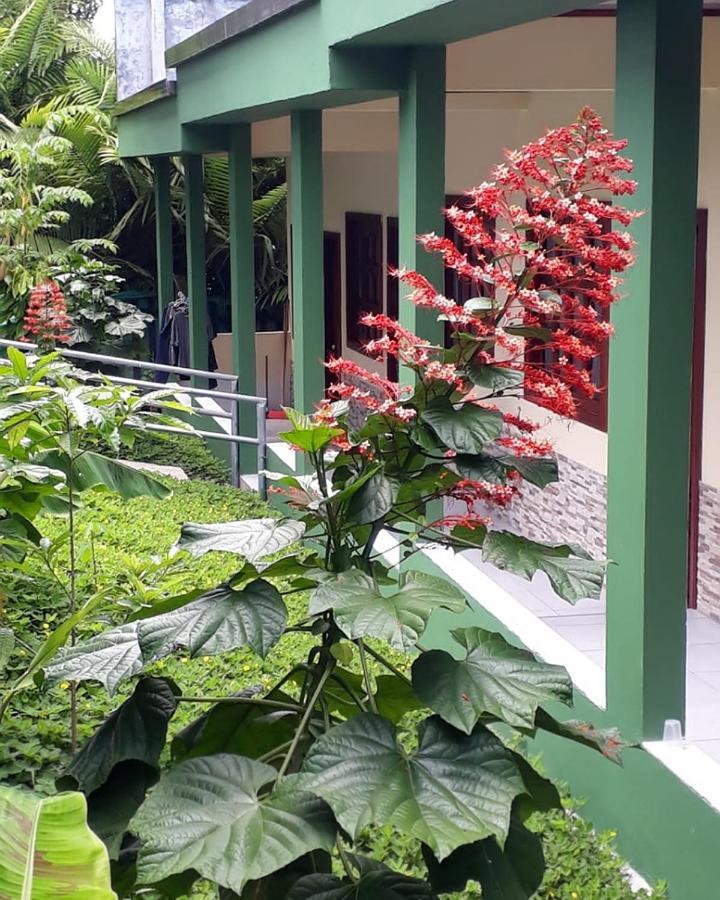 Wikungo Hotel Puerto Nariño المظهر الخارجي الصورة
